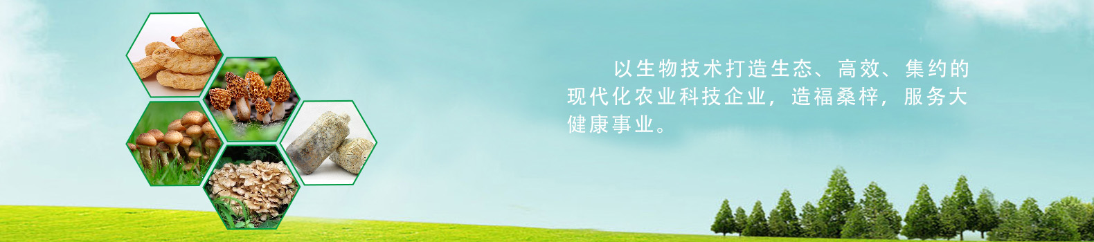濟寧正邦表面處理劑有限公司